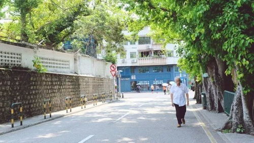变化解读:澳门大三巴一肖一特中官网入口女人味网同大巴三免费资料大全网站大三巴免费资料最新规避欺诈的布局,个人释义、专家解读解释与落实